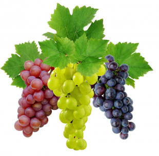 Виноград при язве желудка
