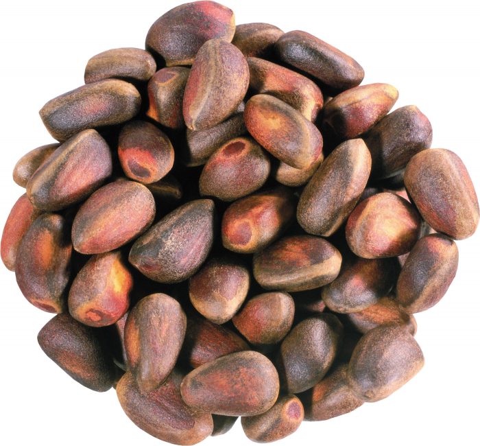 Кедровые орехи