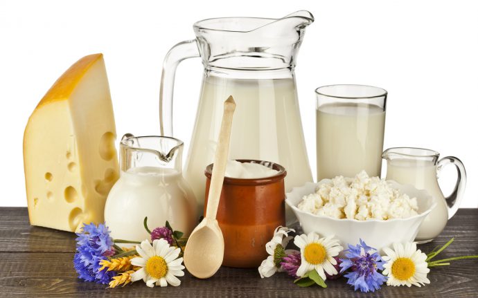 молочные продукты для микрофлоры желудка
