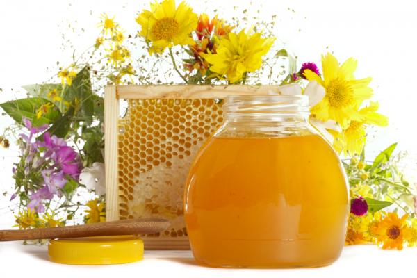 Лечение гастродуоденита медом