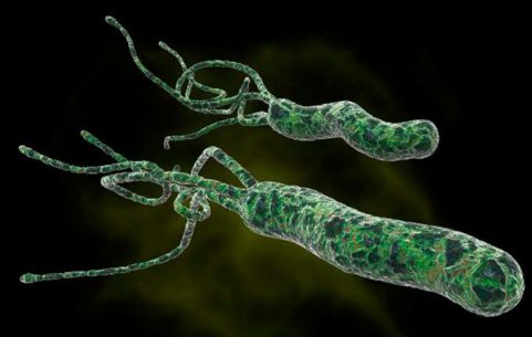 Helicobacter pylori причины заражения