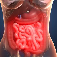 Грибок в кишечнике: симптомы и лечение