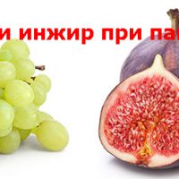 Виноград и инжир при панкреатите: польза и вред
